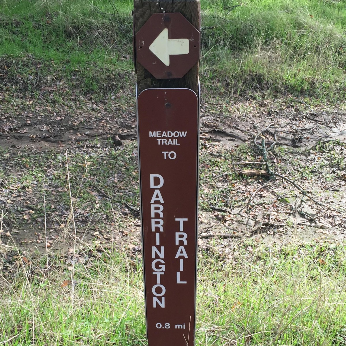 Trail markers