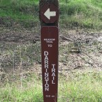 Trail markers