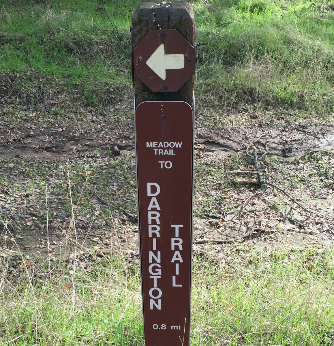 Trail markers