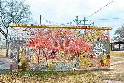 flamingo-mitote-photo-by-city-of-austin-staff