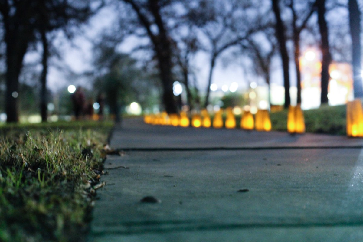 Patterson Luminarias January 2017. Photo by J. Potter-Miller/FoPP.