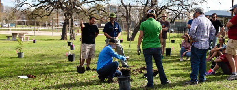Patterson tree planting, March 2018. Photo by J. Potter-Miller/FoPP.