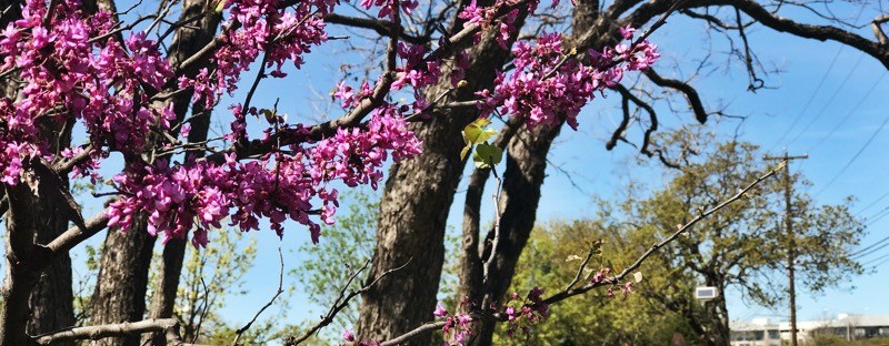2018 first day of spring at Patterson Park