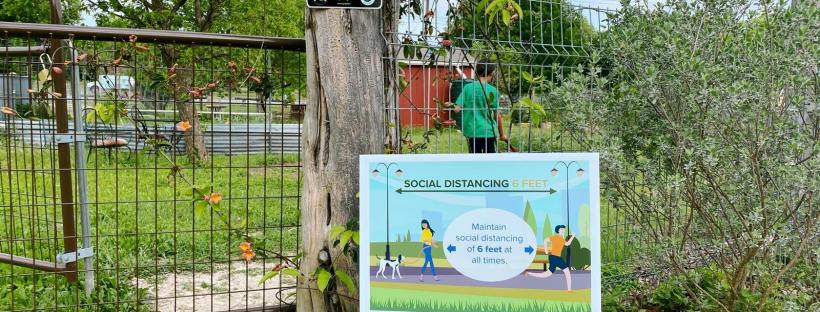 social distancing guidelines