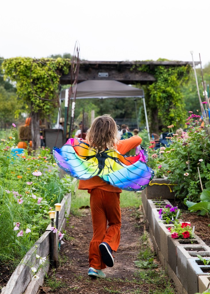 Pattersonpalooza 2024. Friends of Patterson Park, Austin TX. Photo Credit: Susan Potter