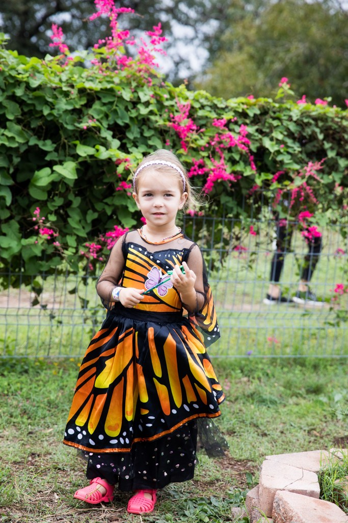 Pattersonpalooza 2024. Friends of Patterson Park, Austin TX. Photo Credit: Susan Potter