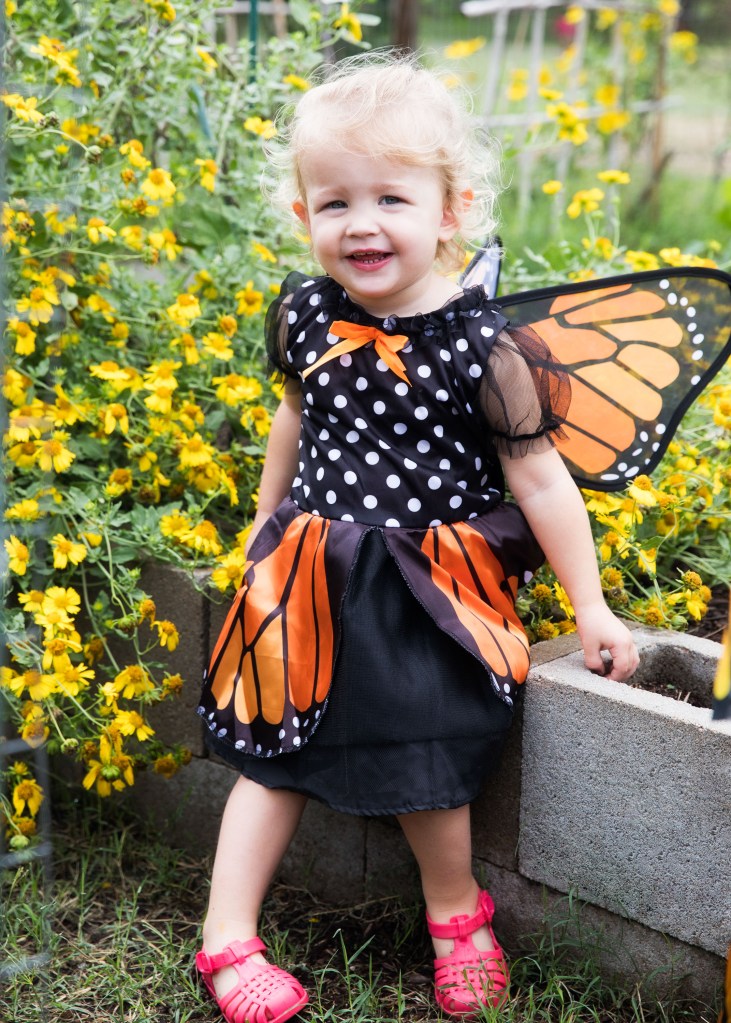 Pattersonpalooza 2024. Friends of Patterson Park, Austin TX. Photo Credit: Susan Potter