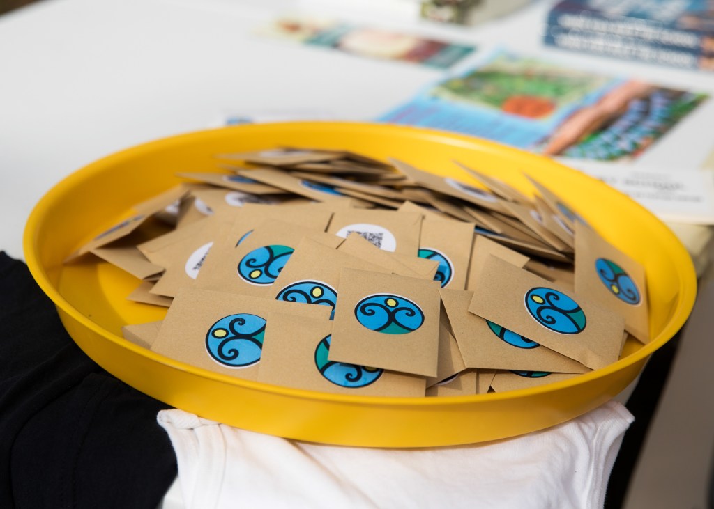 Pattersonpalooza 2024. Friends of Patterson Park, Austin TX. Photo Credit: Susan Potter